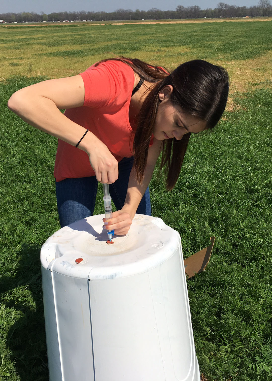 Impact of Cover Crop Residue Management on Nitrous Oxide Emissions in Louisiana